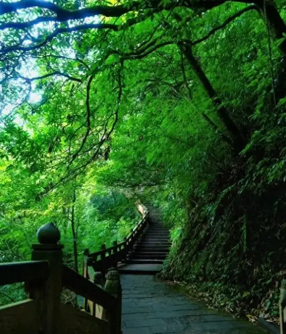 硬件升级🚀内存硬盘天梯图：揭示性能进阶的关键路径