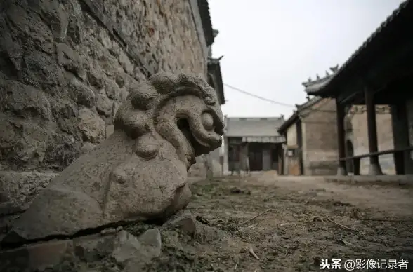 背单词效率低？让图样单词APP的图片联想+遗忘曲线助你一臂之力！