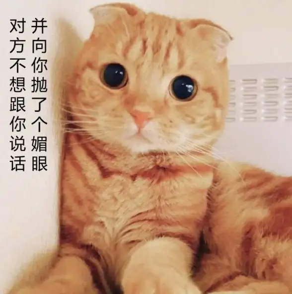 还在为口语练习发愁？语境AI口语app让你轻松爱上开口说英语！