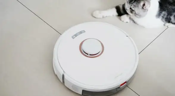 想提升视频创作科技感？数字人数映设计app难道不是你的最佳助手？