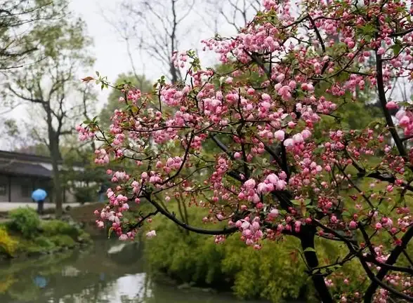还在寻找便捷的在线教育平台？中军职达app满足你的所有学习需求！