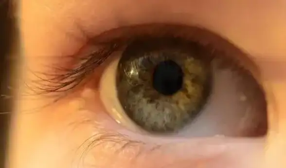 还在寻找高画质相机？CCD相机APP让摄影爱好者的每一拍都精准还原色彩！