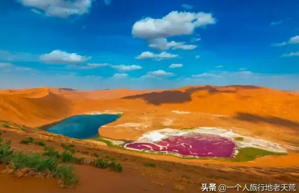 想要轻松获取高清美图？图虫创意这款宝藏APP你怎能错过？