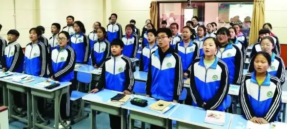 编程互助🟢小白盘：零基础用户专属的开发学习交流平台
