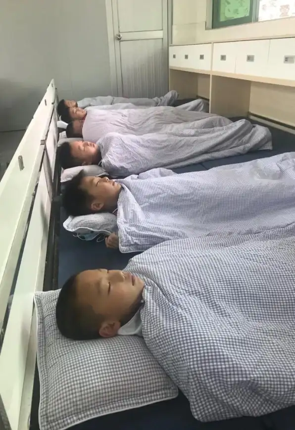 还在寻找高效学习工具？简知APP的实用功能你体验过了吗？